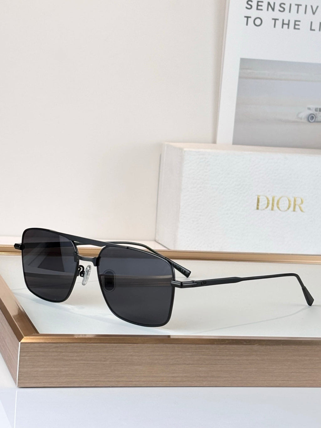 Dior Diorblacksuit s17U Sunglasses